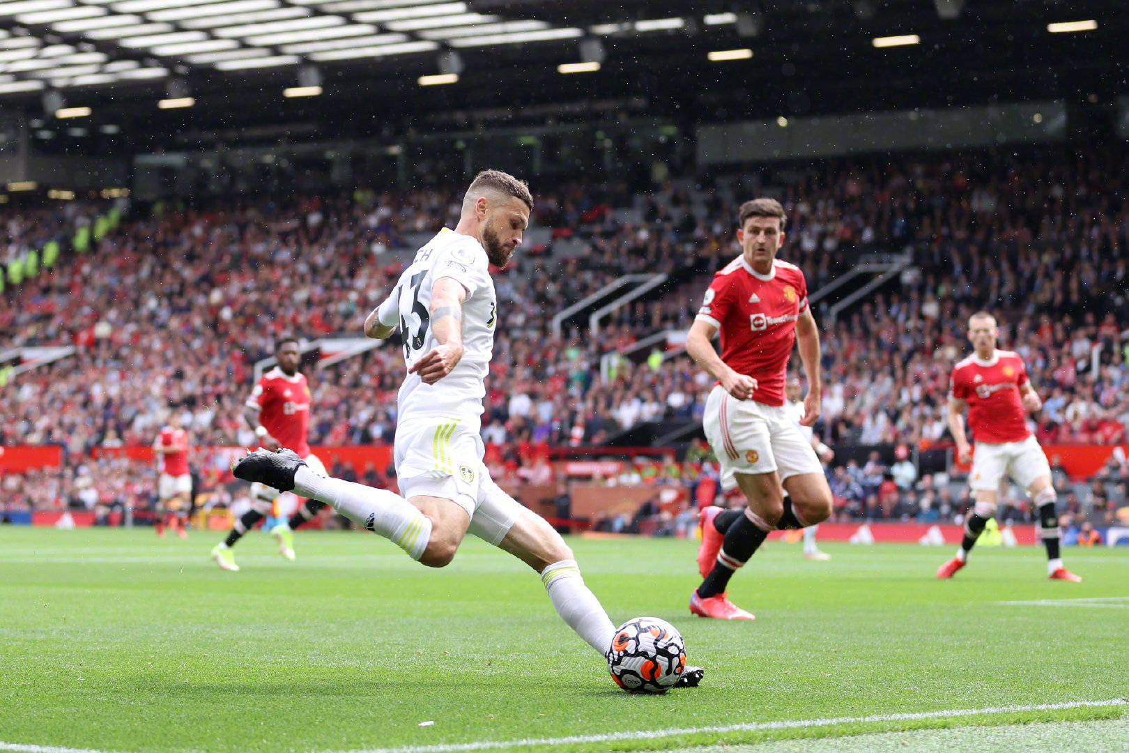 专家都认为 专家都认为